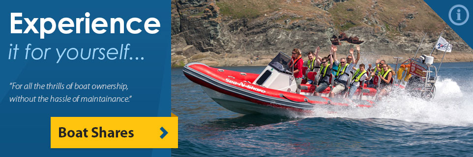 Rigid inflatable Boats